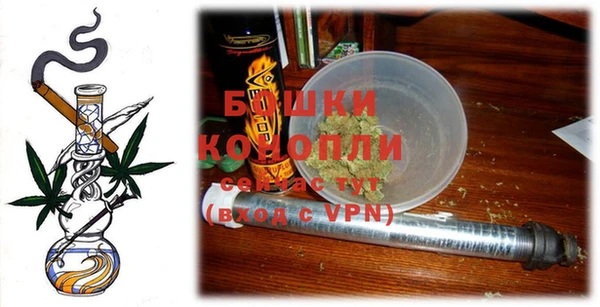 сатива Карталы