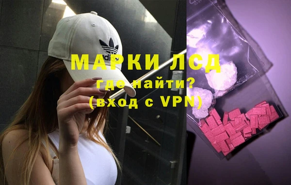 сатива Карталы