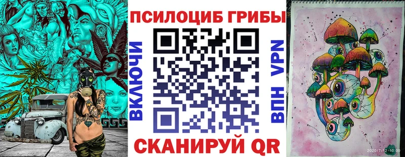 Псилоцибиновые грибы мухоморы  Купить закладки  Воркута 